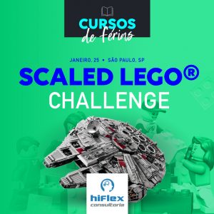 Scaled Lego® Challenge
